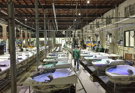 Foshan Nanhai Sannora Sanitary Ware Co., Ltd. производственная линия производителя